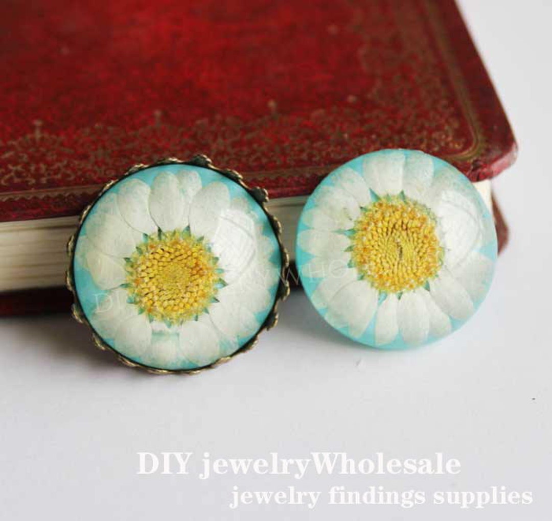 2pcs 25mm Cabochons Resin Real Dry Flower White Chrysanthemums Diy Jewelry Etsy