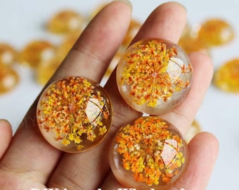 25mm Runde Form Orange und weiß getrocknet Blüten flach zurück Resin Cabochons, 25mm Cabochon, DIY Schmuck, Schmuckzubehör