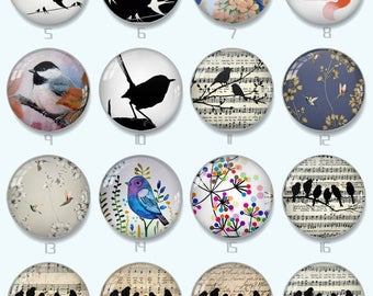 May include: Set of 24 round glass cabochons featuring various bird designs. The cabochons are perfect for crafting projects, jewelry making, and scrapbooking. The designs include birds on branches, birds in flight, and birds with musical notes.
