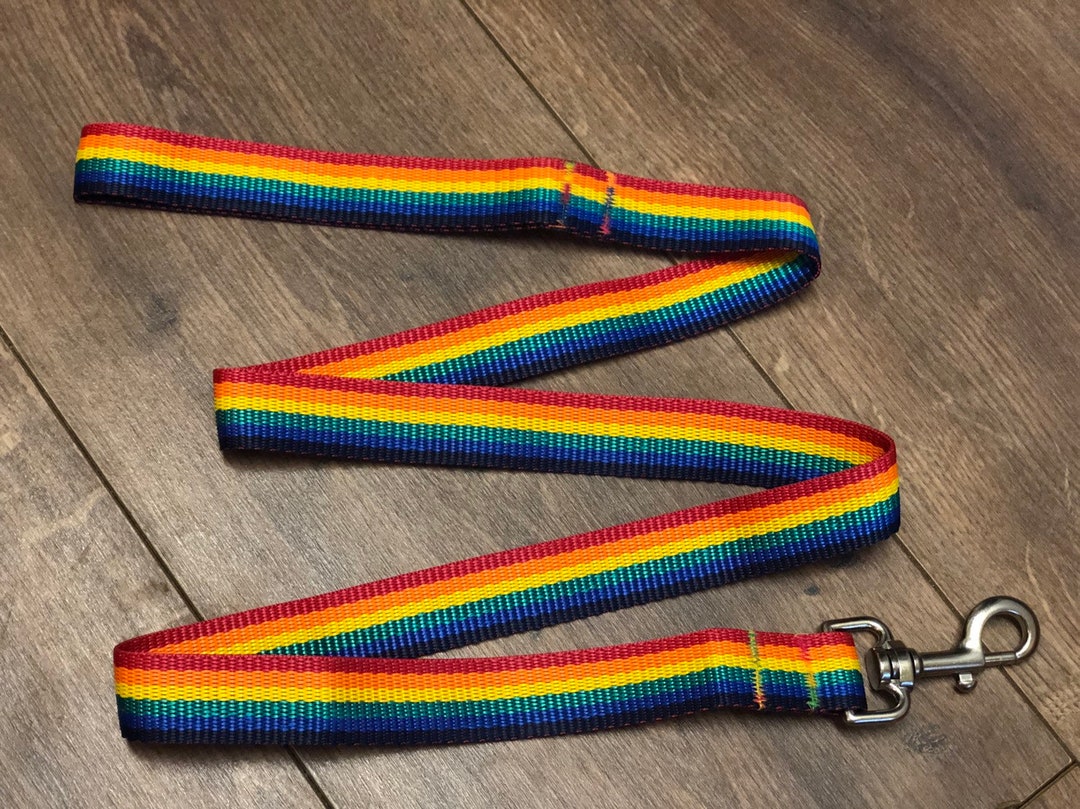 2 Metre Rainbow Dog Leash 25mm Width Etsy