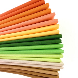 Pumpkin Patch Riley Blake Confetti Cotton Solid Fat Quarter Bundle Custom Curated By Sewcial Stitch 10 Fat Quarters Orange, Green, Brown