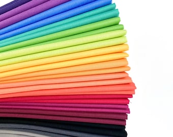 Rainbow Riley Blake Confetti Cotton Solid Fat Quarter Bundle Curated By Sewcial Stitch 16 Fat Quarters Purple Gray Black