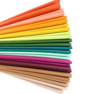 Fall Rainbow Riley Blake Confetti Cotton Solid Fat Quarter Bundle Custom Curated By Sewcial Stitch 13 Fat Quarters Teal, Brown, Orange, Gold
