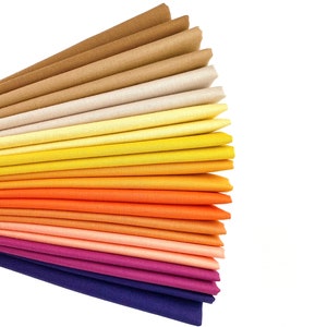 Desert Confetti Cotton Solid Fat Quarter Bundle Custom Curated By Sewcial Stitch 10 Fat Quarters Riley Blake Yellow, Brown, Orange, Purple