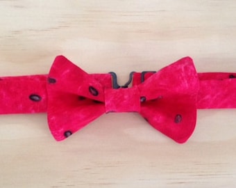 Watermelon bowtie