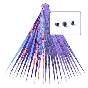 Paper Bead Strips Double Sided Half Inch or 1 Inch Paper Strips for Making Paper Beads and other Paper Crafts Works with Slotted Bead Roller