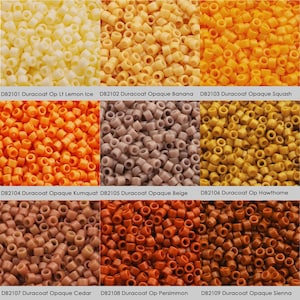 Puede incluir: Una colección de 9 colores diferentes de cuentas Duracoat Opaque. Los colores son Lemon Ice, Banana, Squash, Kumquat, Beige, Hawthorne, Cedar, Persimmon y Sienna.
