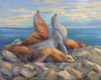 Focas del puerto de Monterey tomando el sol