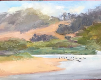 Playa del río Carmel con niebla