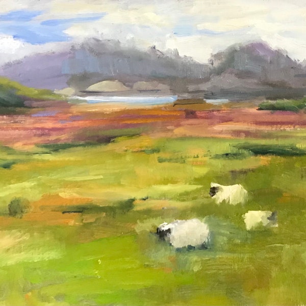 Sheep at Carmel Mission Ranch