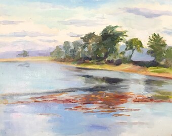 Elkhorn Slough temprano en la mañana al aire libre