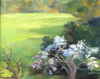 Primavera en el huerto