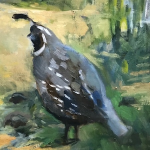 The Quail