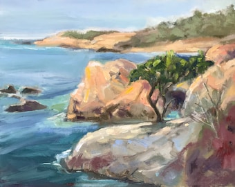 Dormilón de pelícanos, Point Lobos