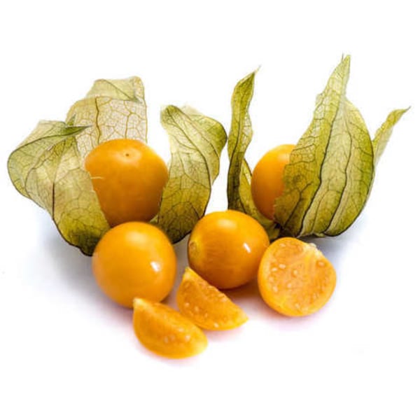 Physalis peruviana seeds. Lot of 30 fresh and organic seeds just collected. We attach germination instructions. cape gooseberry