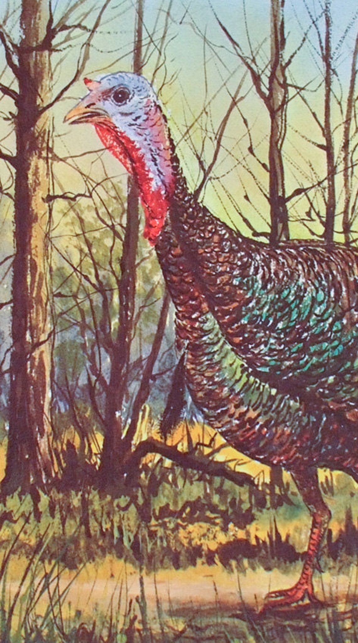 Wild Turkey Turkey Print Thanksgiving Turkey Art Wildlife Etsy