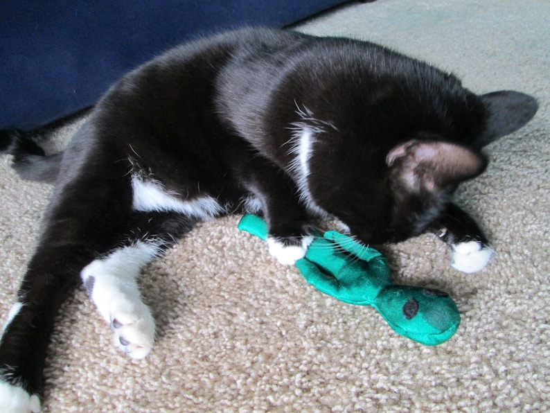May include: A black and white cat playing with a green alien-shaped stuffed toy on a beige carpet.