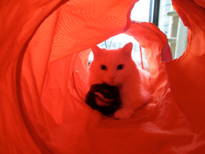 Fuzzy Monster Catnip Ball Cat Toy Etsy