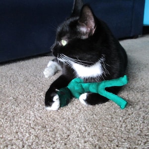 May include: A black and white cat with green eyes plays with a green plush toy on a light brown carpet.