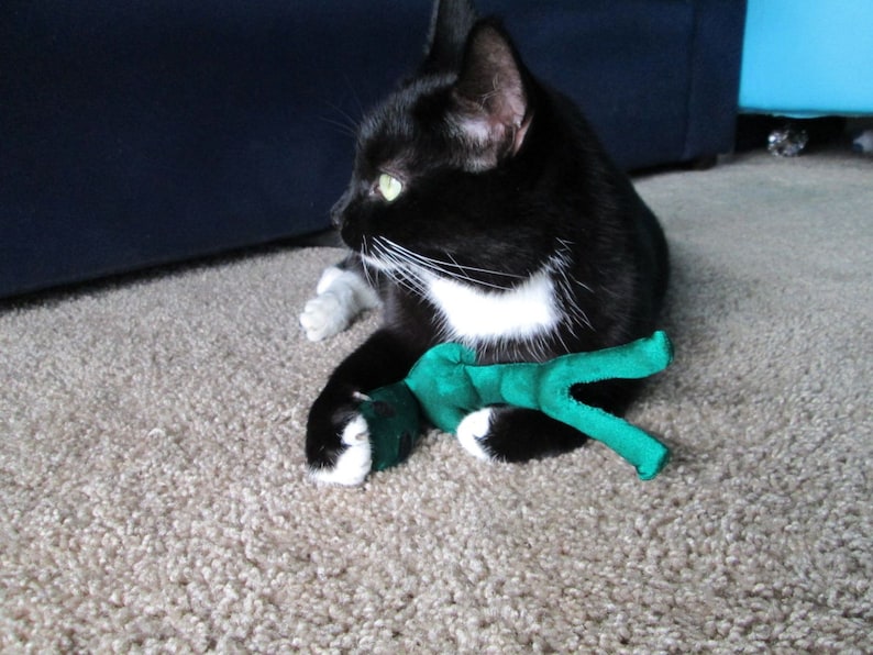 May include: A black and white cat with green eyes plays with a green plush toy on a light brown carpet.