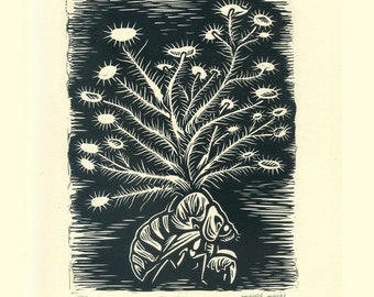 Bloom cicada and lichen, linocut relief print