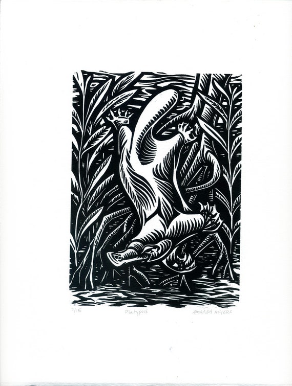 Platypus Linocut Relief Print Ireland