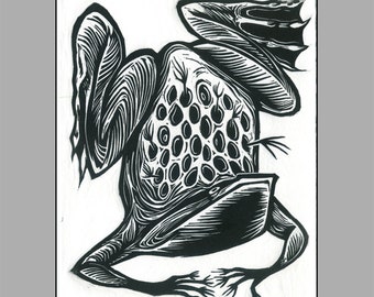 Small linocut of Pipa Pipa/ Surinam Toad