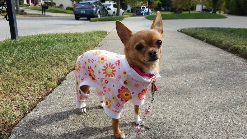 RTS yellow flowered pet pajamas Pink red