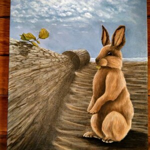 Rabbit