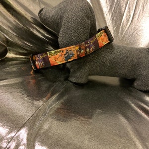 1” High Flying Adventures Collar