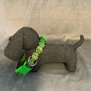 1” Scientist and Grandson Collar
