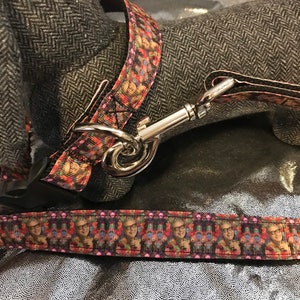 CLEARANCE 1” Everybody Loves Jeff Collar & Leash Set