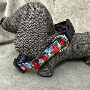 1” Big Red Dog collar