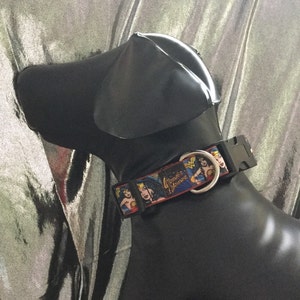 1" W. Woman Comic Strip Collar