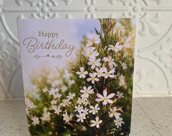 Birthday Cards (pack of 4)