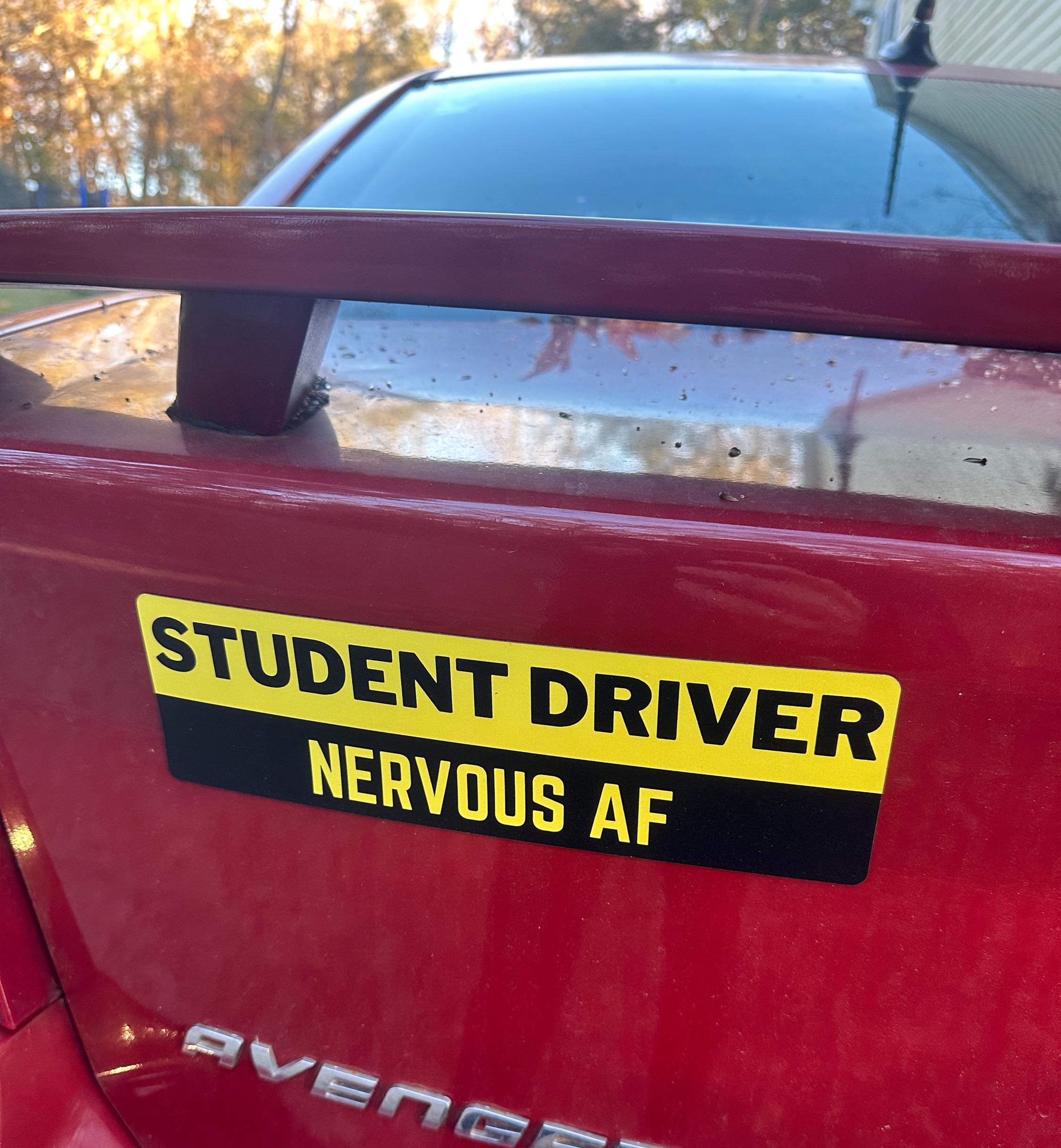 where to buy student driver magnet