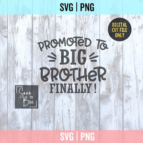 Big Brother Finally Svg, Promoted to Big Brother svg, Big brother shirt svg, svg file, cutting file for cricut 1166
