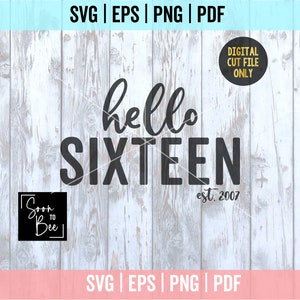 16th Birthday Svg, 16 SVG, Hello Sixteen Svg, Svg files for Cricut, Birthday Shirt SVG 16th 1038