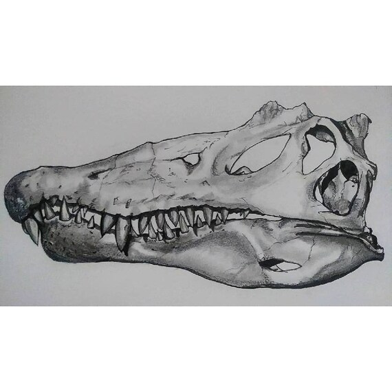 Dino Art Graphite Drawing Ink Art Dinosaur 11x14 Etsy