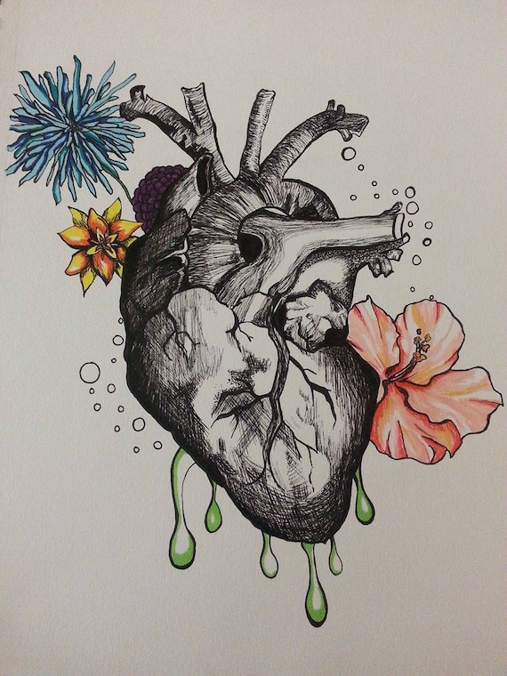 Anatomical Heart Illustration Original Ink Art Print 9X12 Size