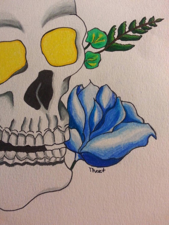 Skull Colored Pencil And Ink Original Drawing 9x12 Size Etsy