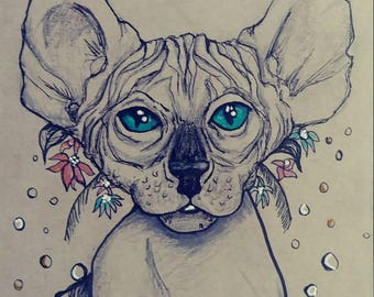 Meow, Meow - Drawing - Ink and Graphite- Hairless Cat Drawing- multi-media paper- Original Art PrintArt Piece- one of a kind