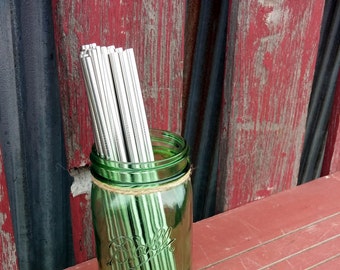 Roestvrijstalen rietje 6 mm roestvrijstalen rietjes 9,5" DIY Mason Jar rietje deksels bekerrietje | Lange rietjes | Herbruikbaar | Mason drinkglas