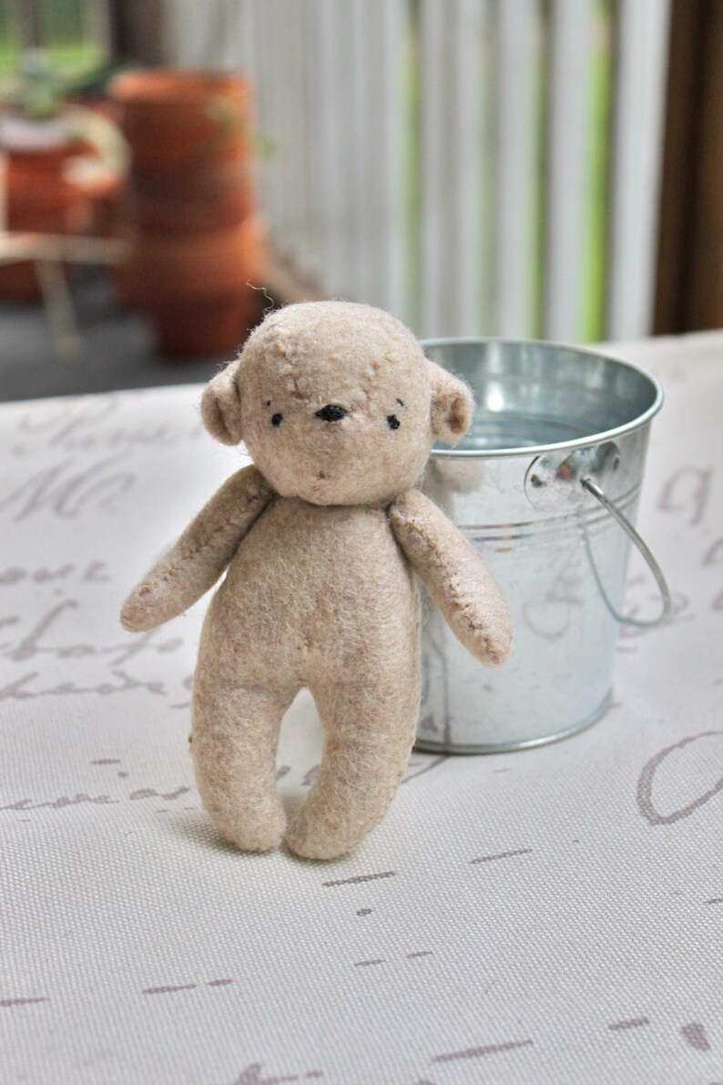 teddy bear with pocket