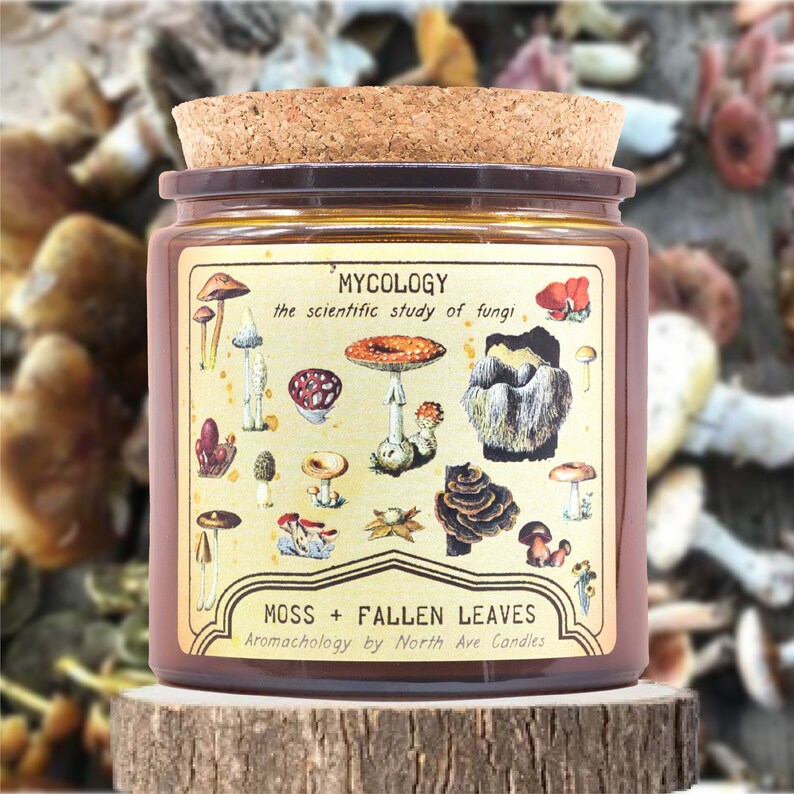 North Ave Candles Mushroom Candle - Thumbnail 4