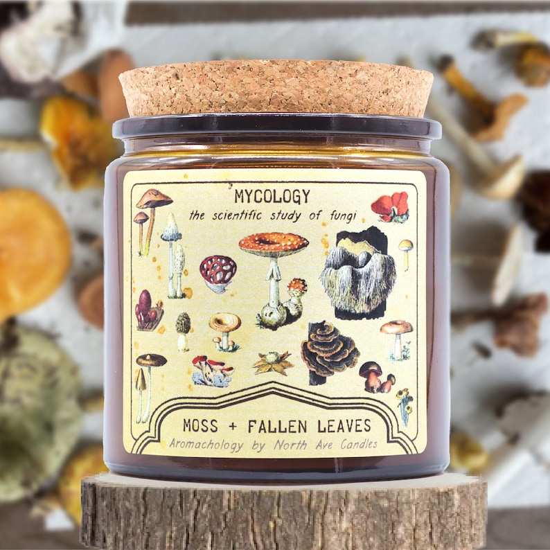 North Ave Candles Mushroom Candle - Thumbnail 2