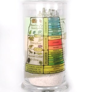 Excavation Candle: Find Dinosaurs, Fossils, Gems / Treasure Candle / Trinket Candle
