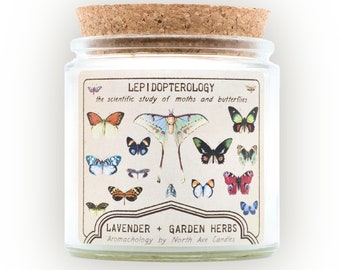 Bougie papillon, lavande, herbes du jardin, décoration scientifique