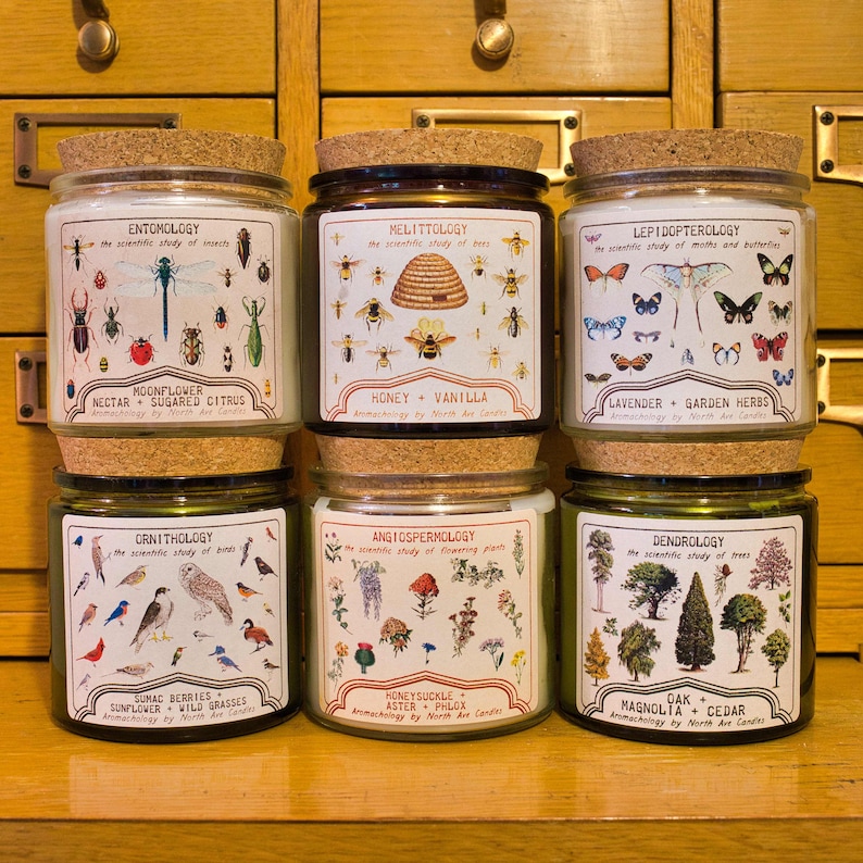 North Ave Candles Mushroom Candle - Thumbnail 5