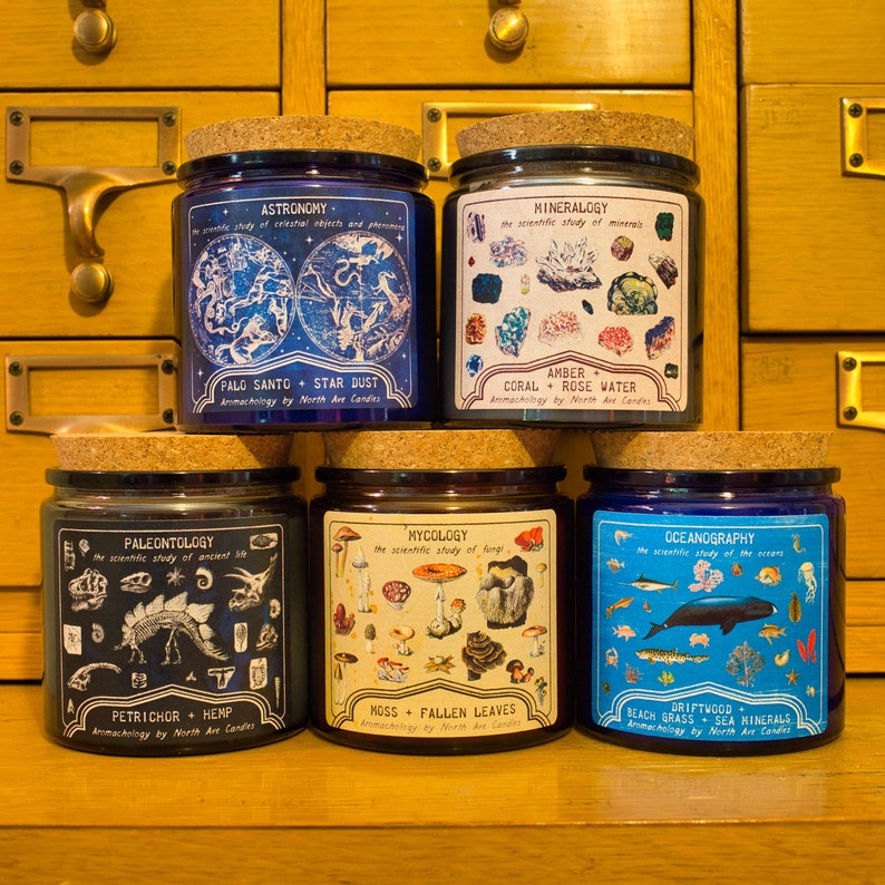 North Ave Candles Mushroom Candle - Thumbnail 3